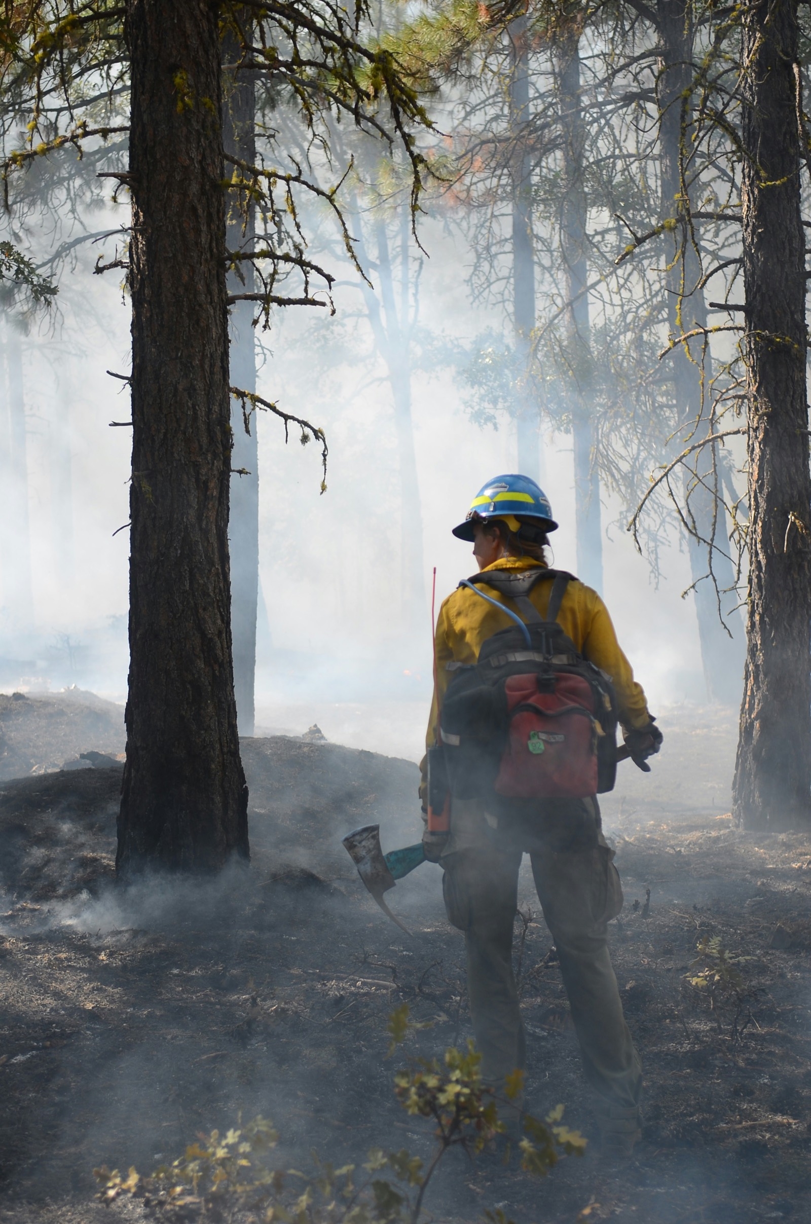 A wildland firefighter in a yellow jacket and blue helmet walks through drifting smoke among pine trees, carrying a drip torch over burnt ground.